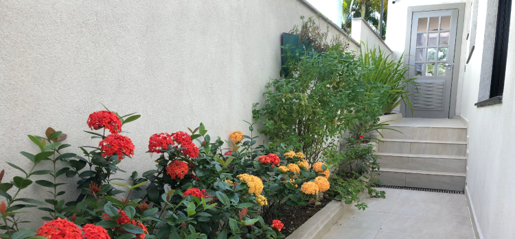 Jardines laterales: la solución para espacios reducidos